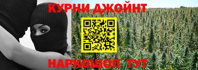 гидропоника Краснознаменск