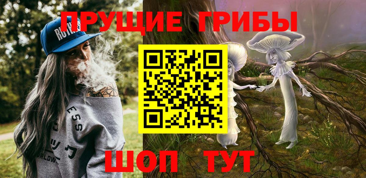 Шадринск  Псилоцибиновые грибы Cubensis  Вход с VPN 